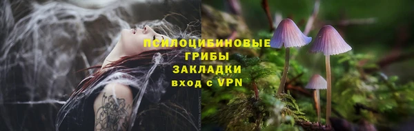 прущий лед Алексеевка