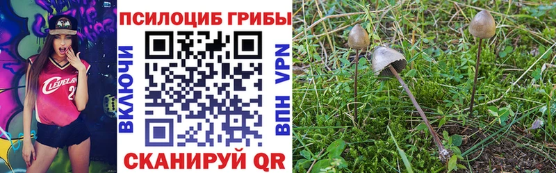 Галлюциногенные грибы Psilocybine cubensis  blacksprut ССЫЛКА  Катав-Ивановск 